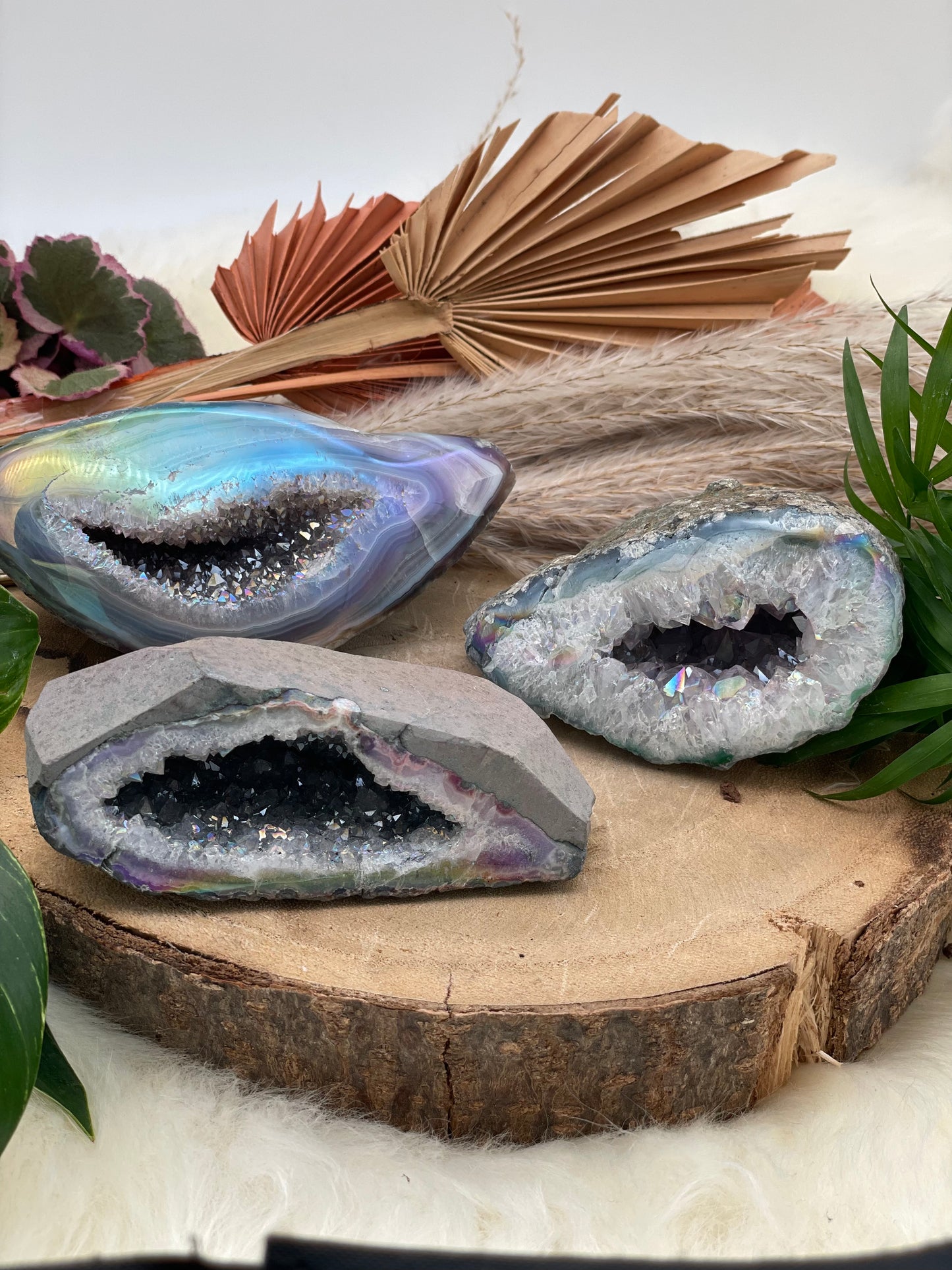 Angel Aura Amethyst Geode