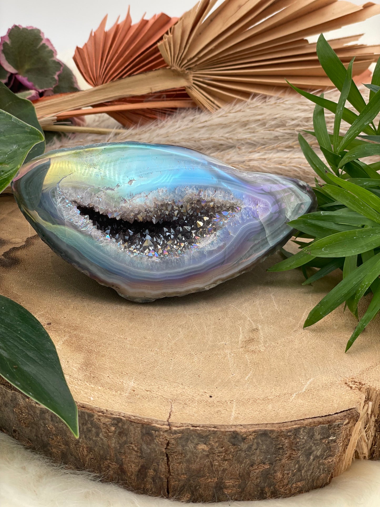 Angel Aura Amethyst Geode