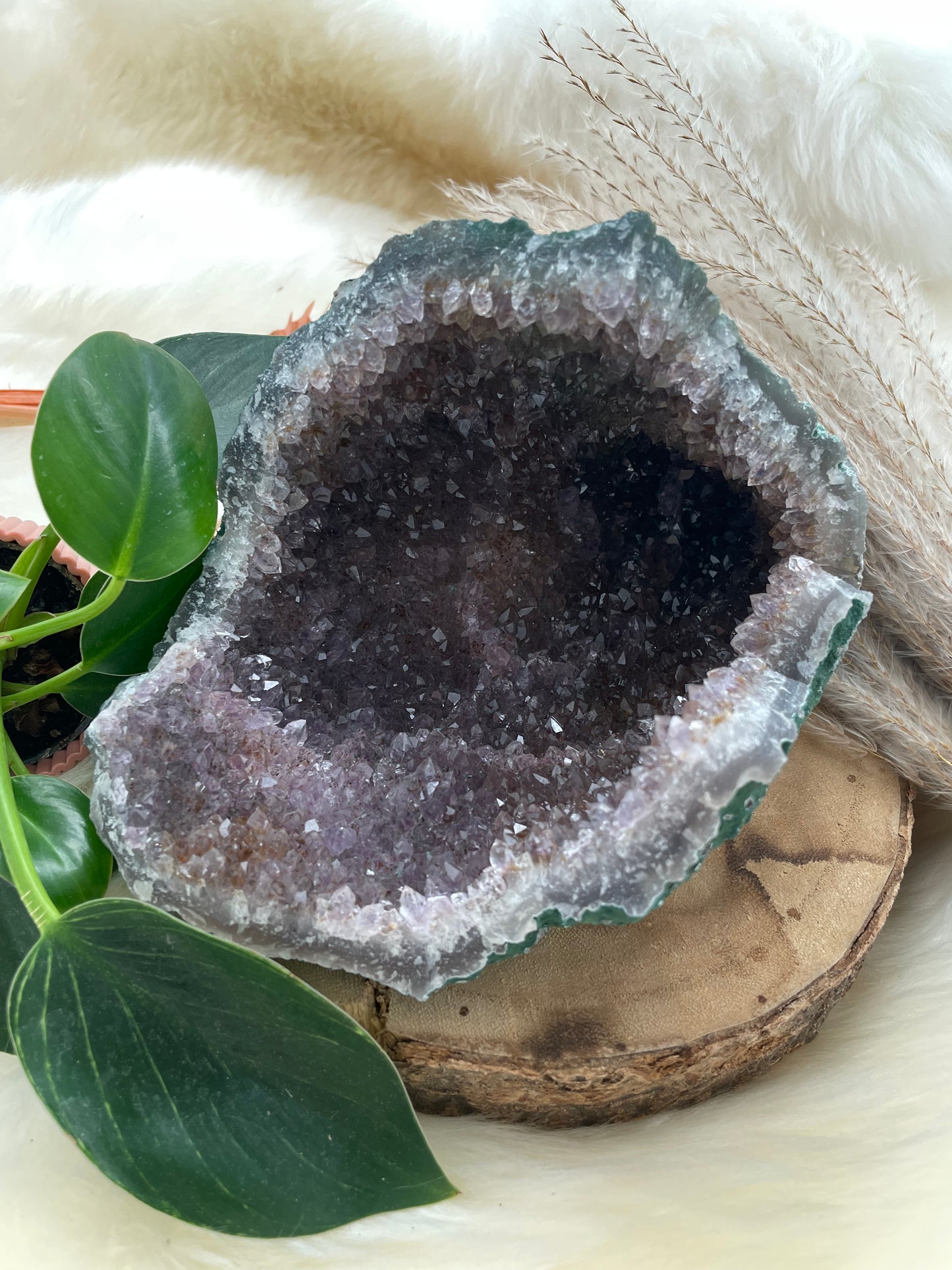 Amethyst Cluster XL