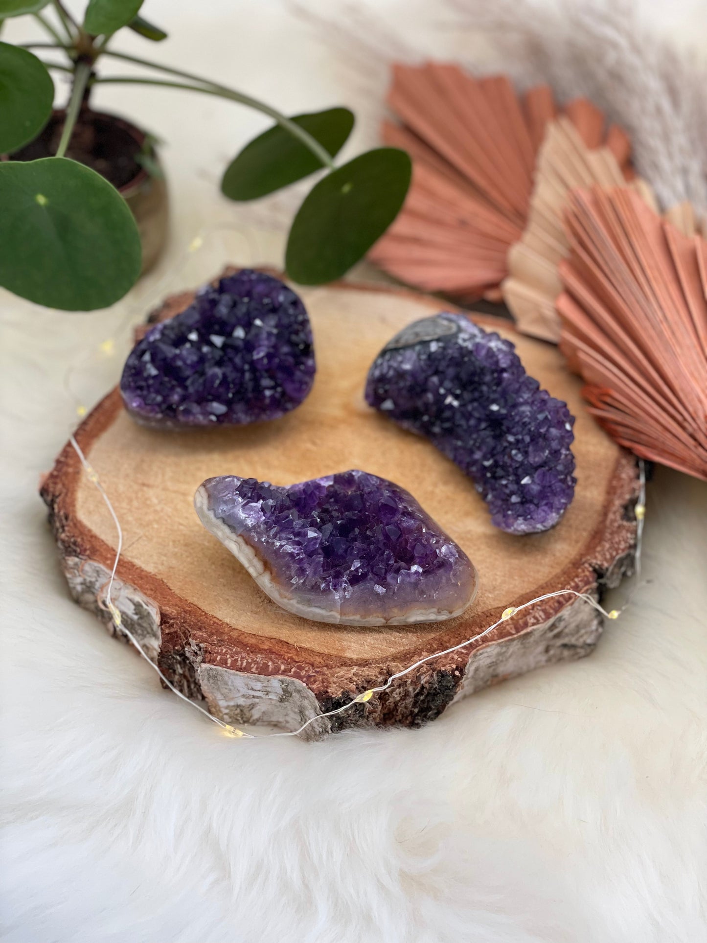 Amethyst Cluster anpoliert