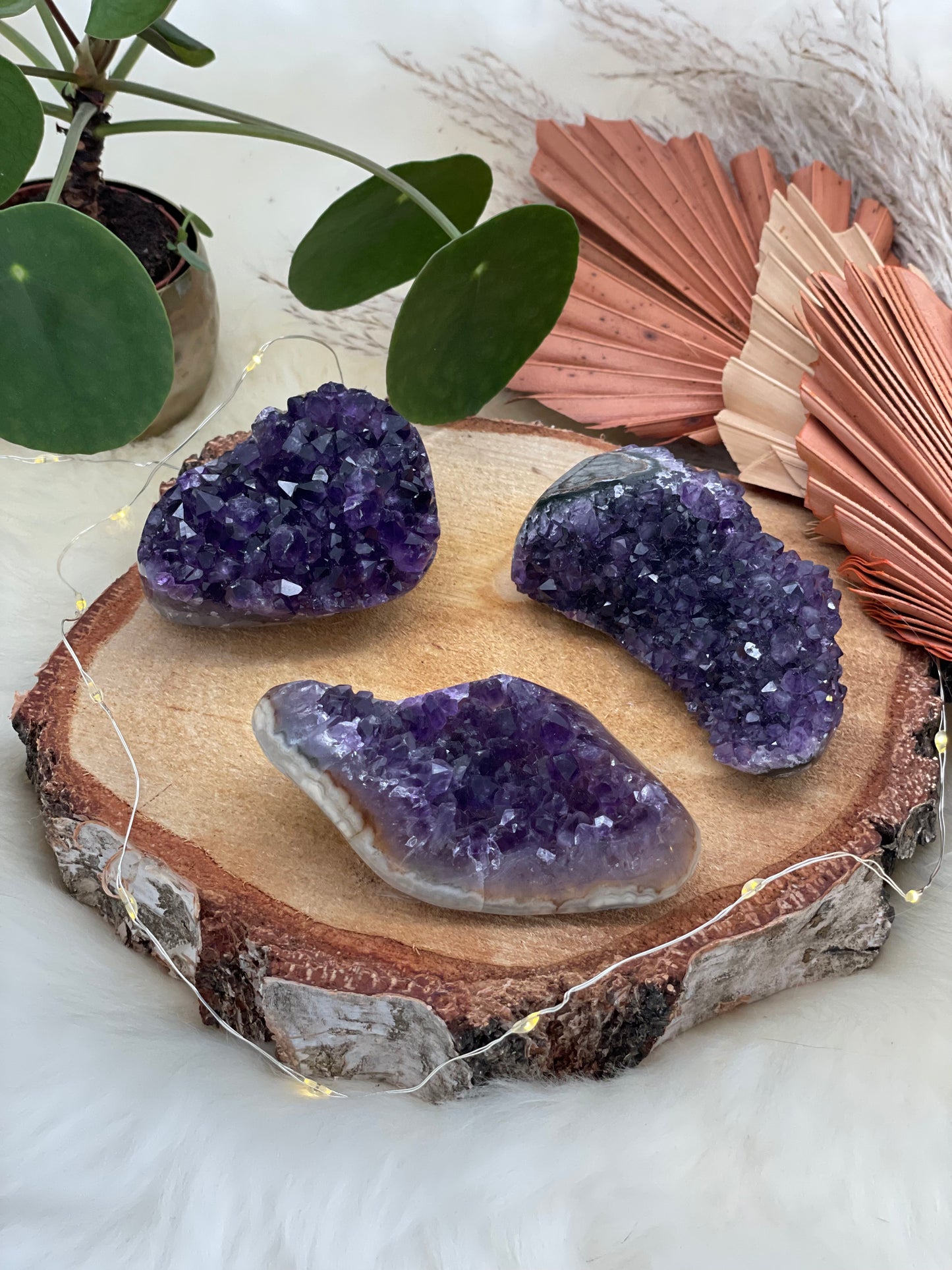 Amethyst Cluster anpoliert