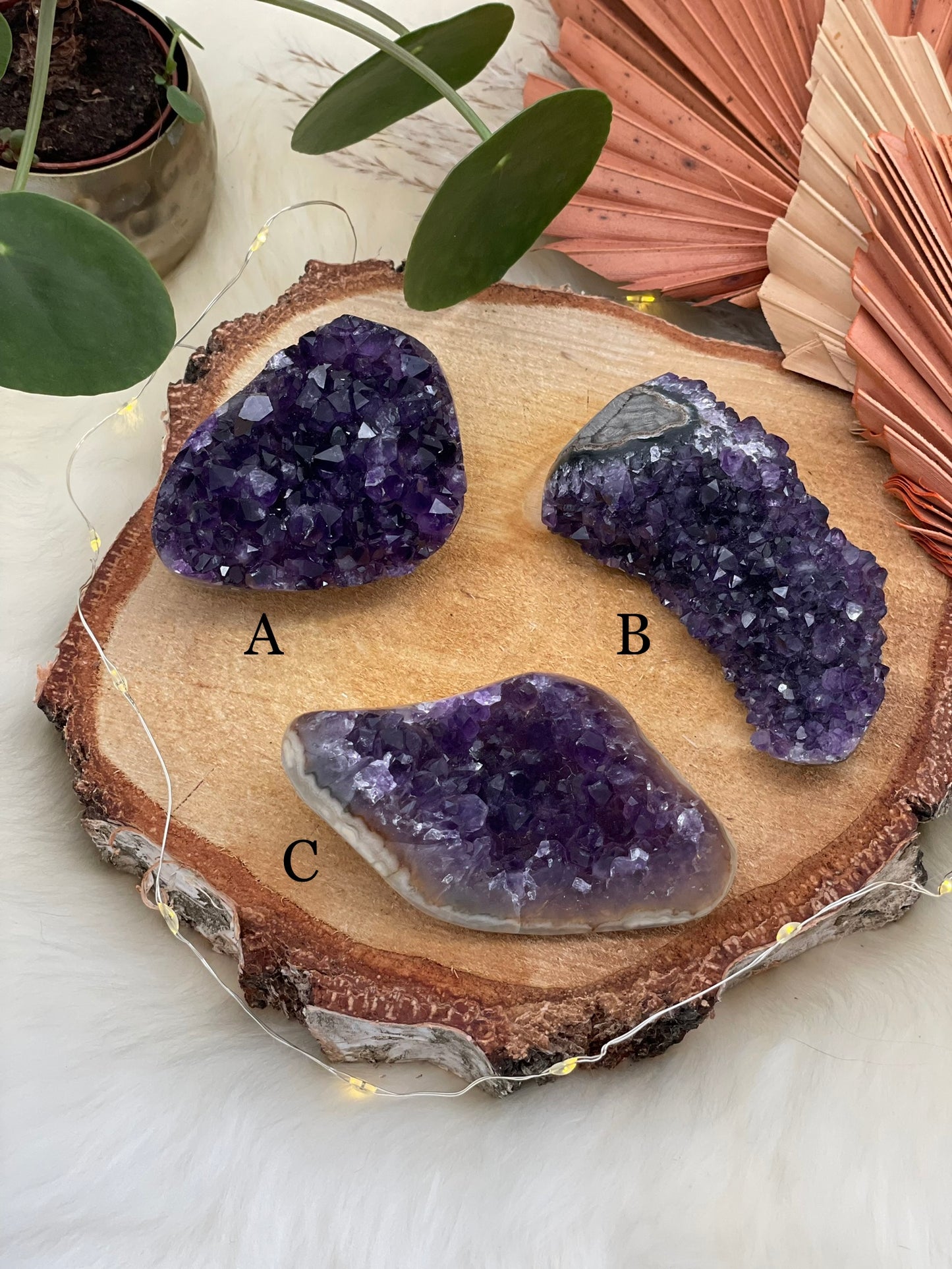 Amethyst Cluster anpoliert